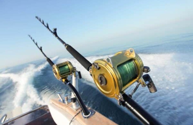 Deep Sea Fishing