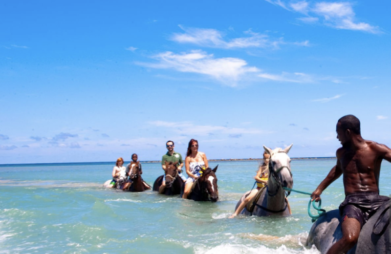 Horse Back Riding