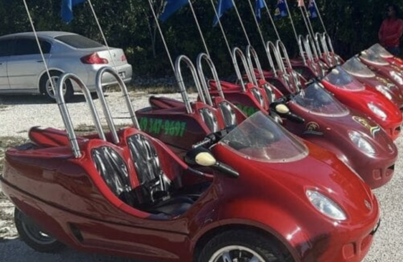 Love Buggy Tours